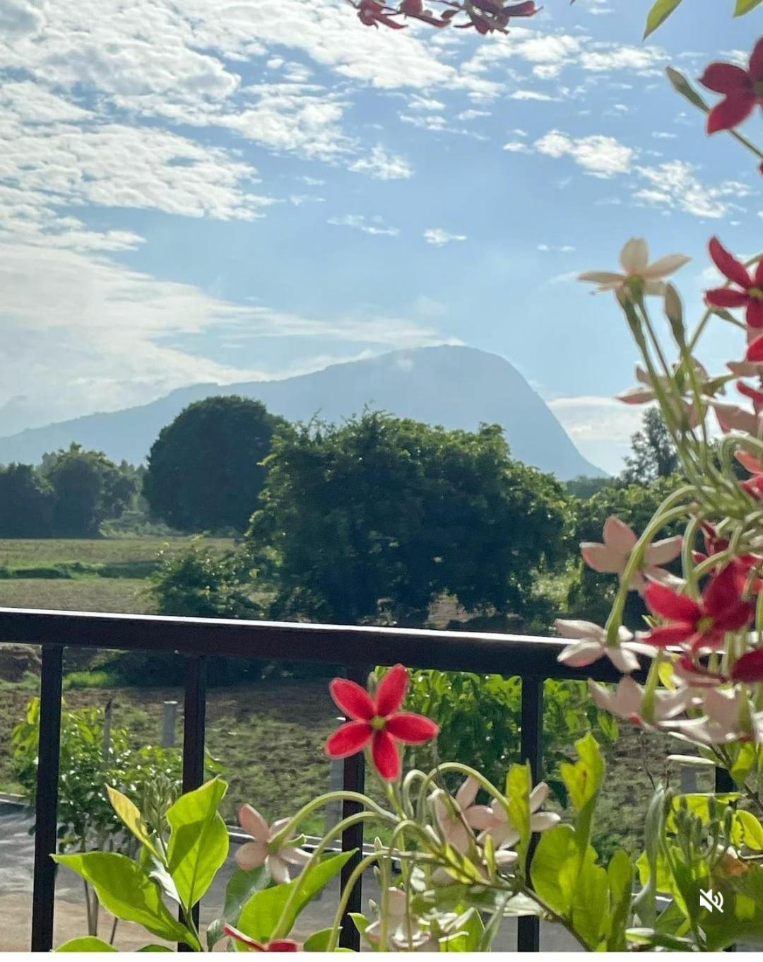 Tuscan Breeze, Nandi Hills Nandigunda Eksteriør bilde